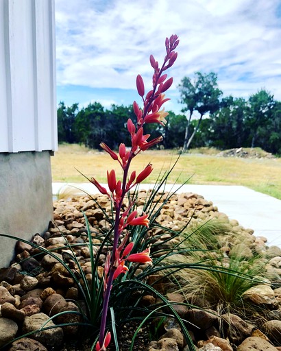 Cabins (United States of America, Wimberley, Texas)