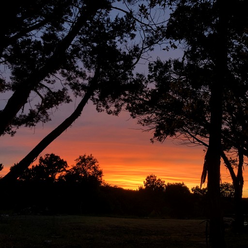 Cabins (United States of America, Wimberley, Texas)