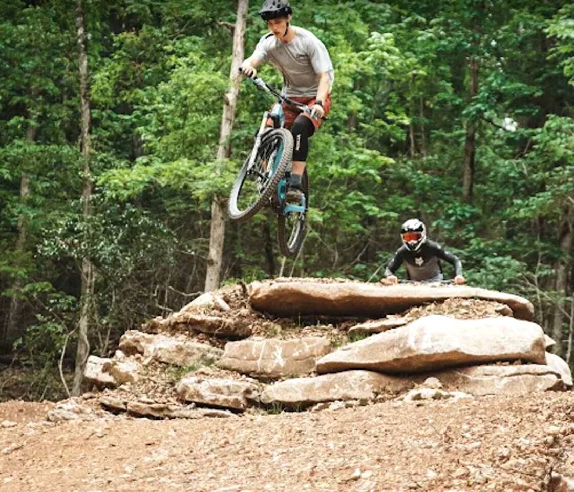 Peaceful Cottage Hideaway with Firepit & Grill in Bentonville, Arkansas