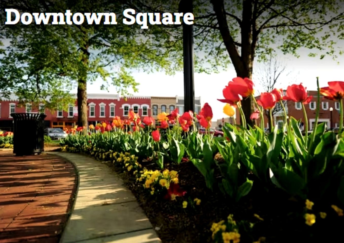 Peaceful Cottage Hideaway with Firepit & Grill in Bentonville, Arkansas