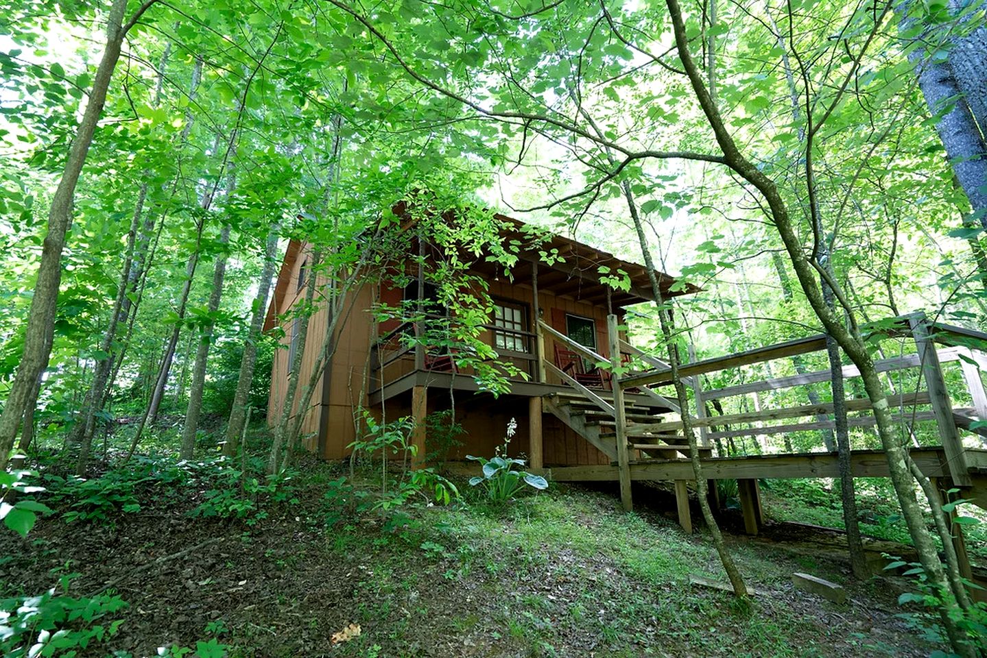 Cozy Cottage in Northern Georgia near the Blue Ridge Mountains, Perfect for a Weekend Getaway