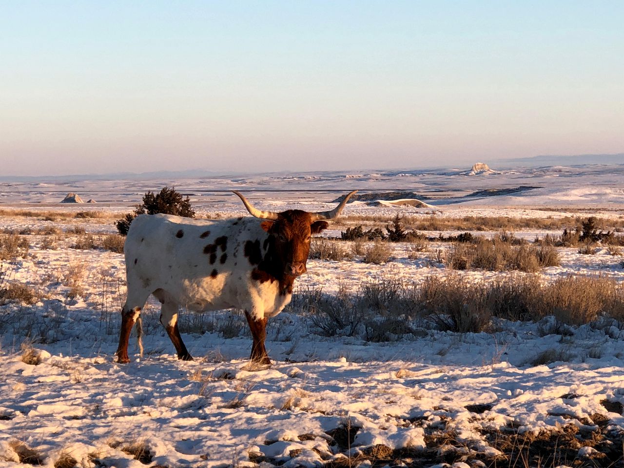 Cozy Cottage Rental for Six on a Working Ranch in Crawford, Nebraska