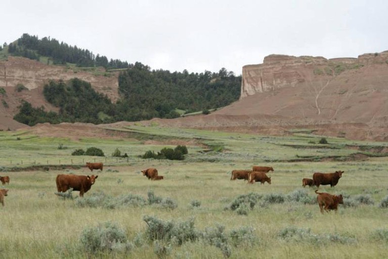 Cottages (Crawford, Nebraska, United States)