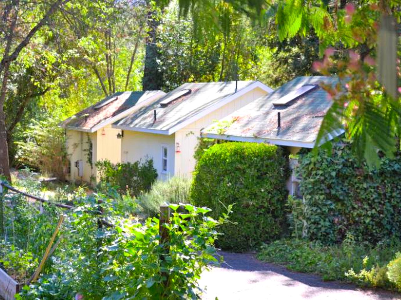 Cozy Cottage Retreat near Harbin Hot Springs in California