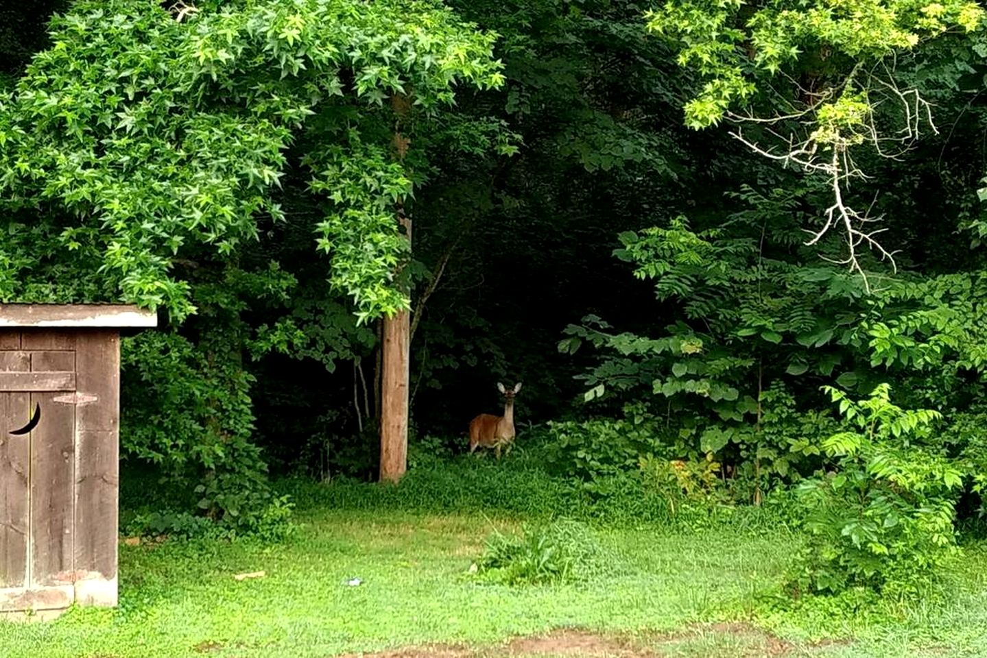 Tranquil Cabin with Hot Tub & Creek Views Near Bass Pro, Kodak Tennessee