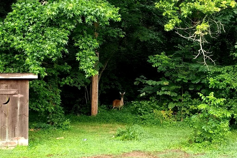 Cabins (United States of America, Kodak, Tennessee)