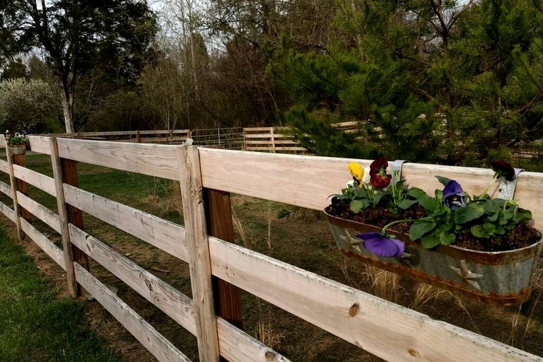 Cabins (United States of America, Kodak, Tennessee)