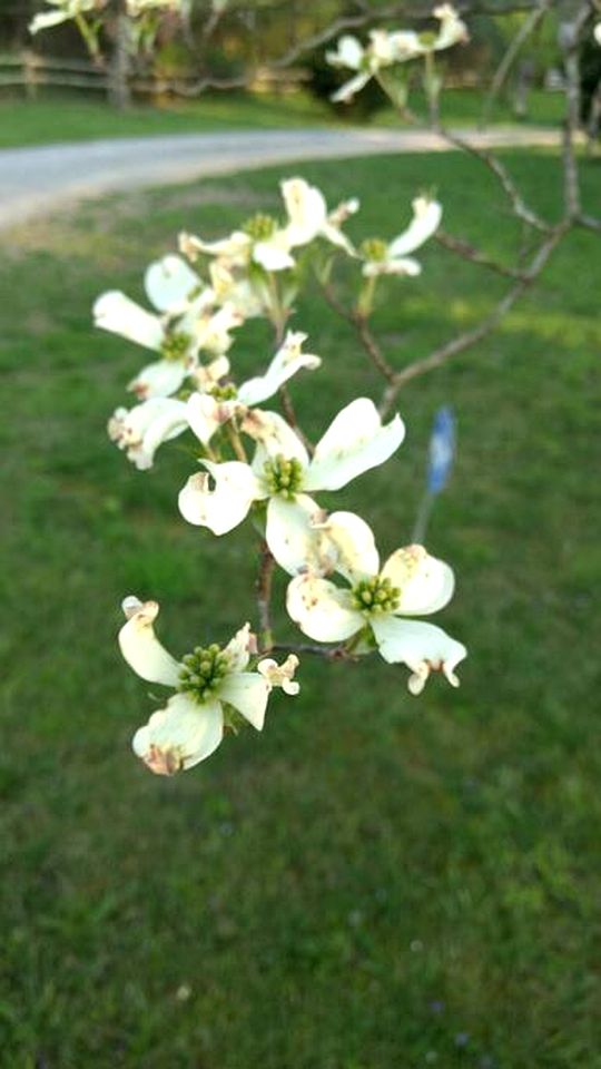 Tranquil Cabin with Hot Tub & Creek Views Near Bass Pro, Kodak Tennessee
