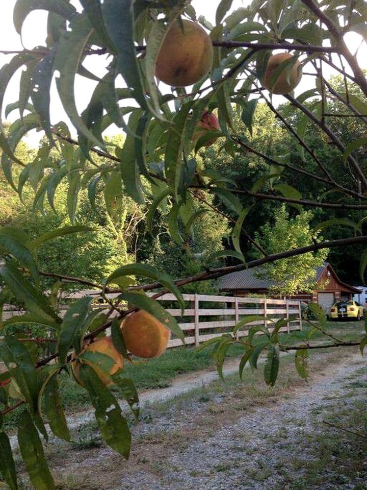 Tranquil Cabin with Hot Tub & Creek Views Near Bass Pro, Kodak Tennessee