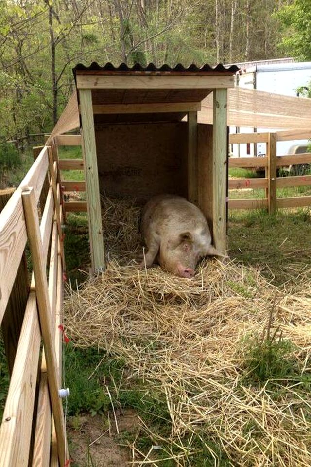 Tranquil Cabin with Hot Tub & Creek Views Near Bass Pro, Kodak Tennessee