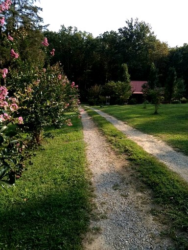 Cabins (United States of America, Kodak, Tennessee)