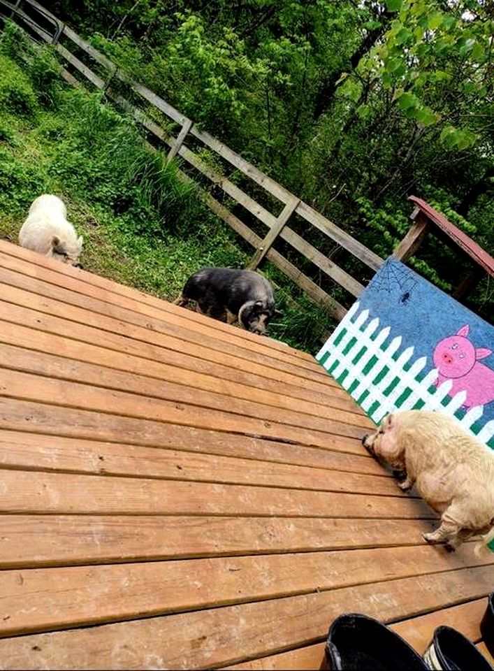 Tranquil Cabin with Hot Tub & Creek Views Near Bass Pro, Kodak Tennessee