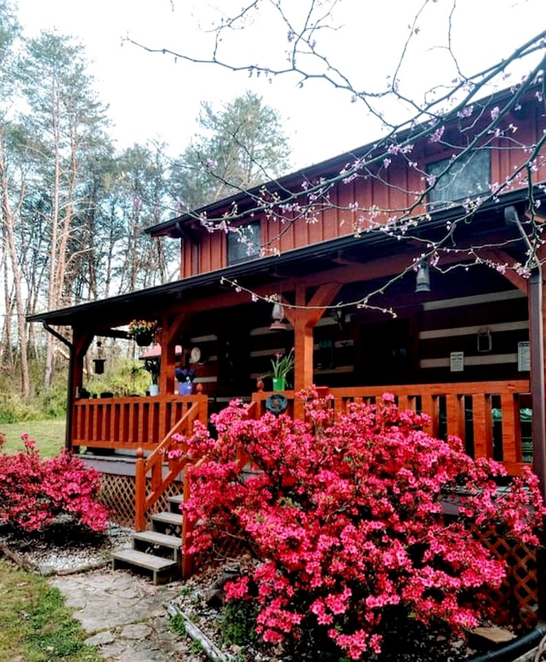 Tranquil Cabin with Hot Tub & Creek Views Near Bass Pro, Kodak Tennessee