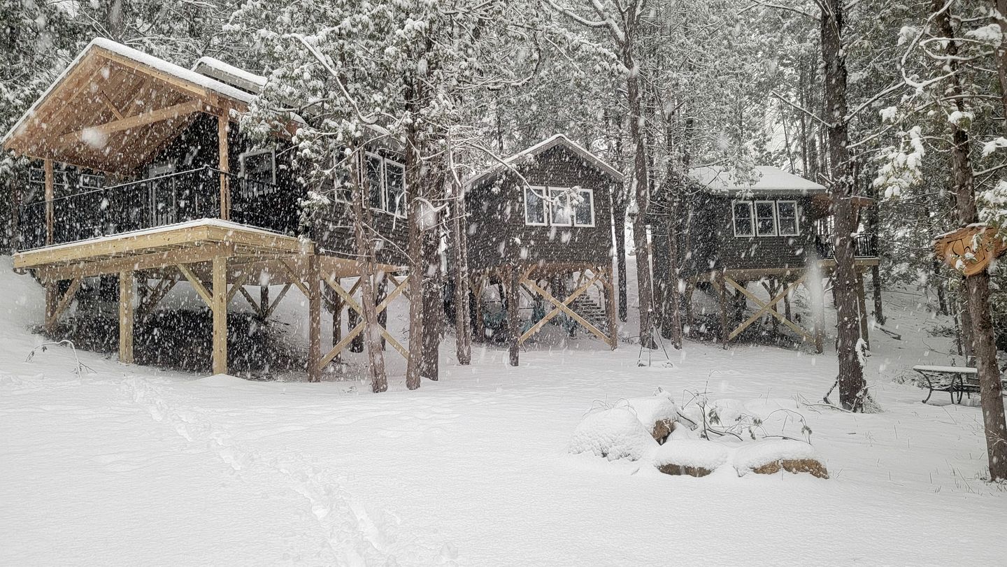 Cozy Up in this Cute Cabin Treehouse with Views of the Bluff Woodlands, Minnesota