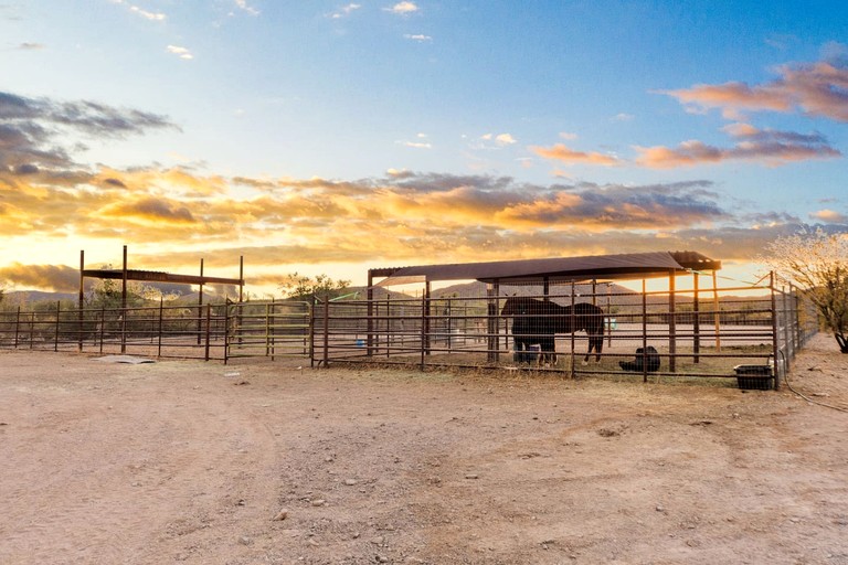 Cottages (United States of America, Marana, Arizona)
