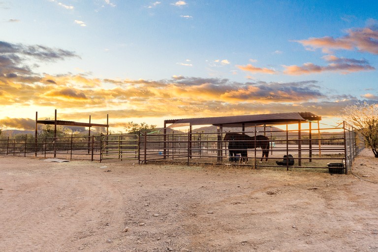 Cottages (United States of America, Marana, Arizona)