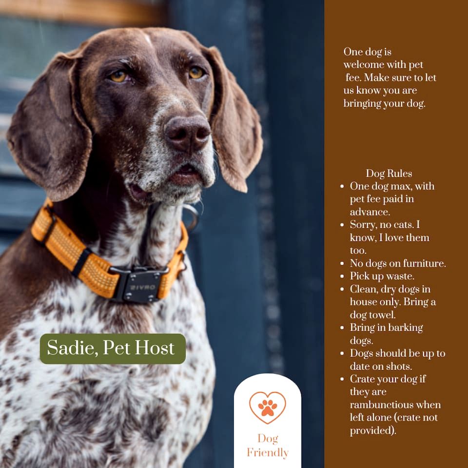 Cozy Dog-Friendly Retreat with Deck, Fire Pit & Starry Nights in Bloomville, New York