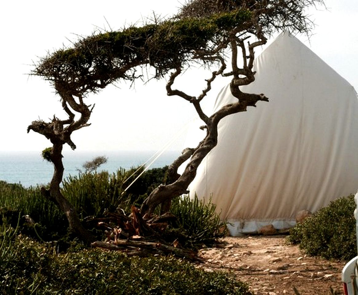 Cozy Eco-Tents on Remote Beach or in the Sahara Desert, Morocco