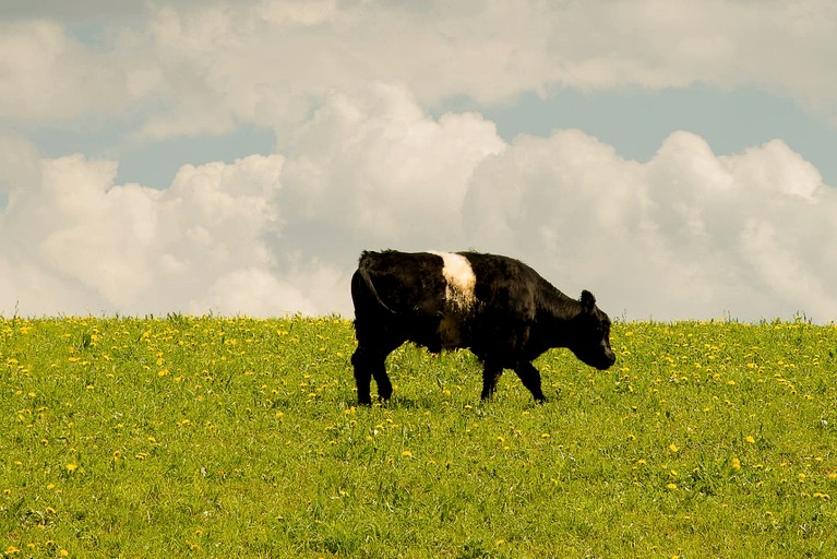 Vacation Rentals (United States of America, Bloomville, New York)