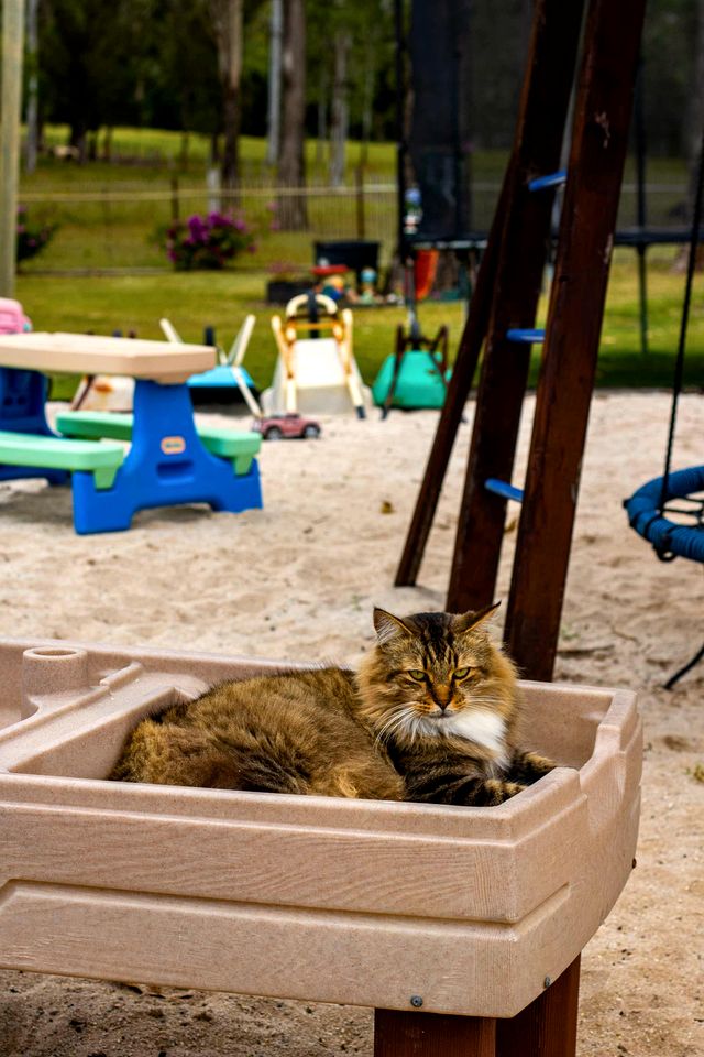 Cozy Farmstay Tiny House with Wildlife Encounters and Pool Near Bundaberg, QLD
