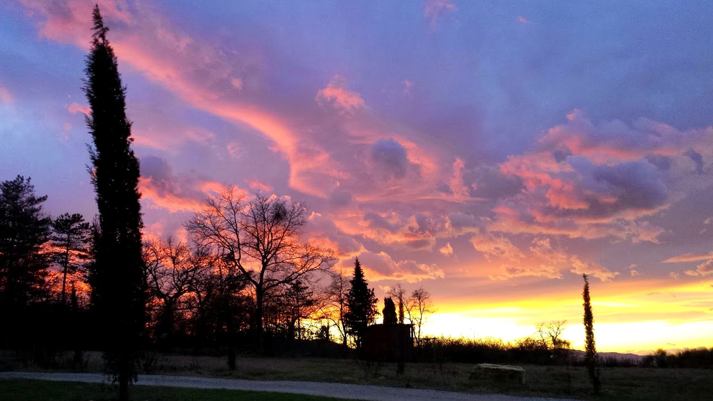 Cozy Four-Person Cabins with Private Outdoor Area near Florence, Italy