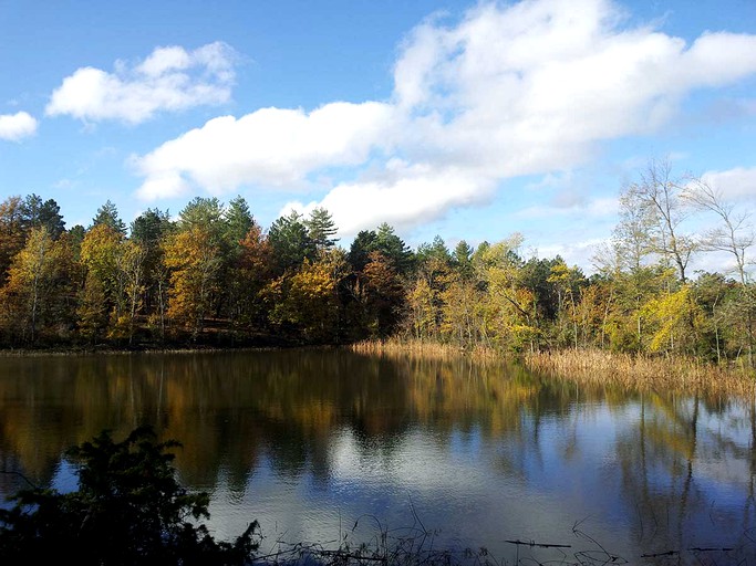 Cabins (Bucine, Tuscany, Italy)