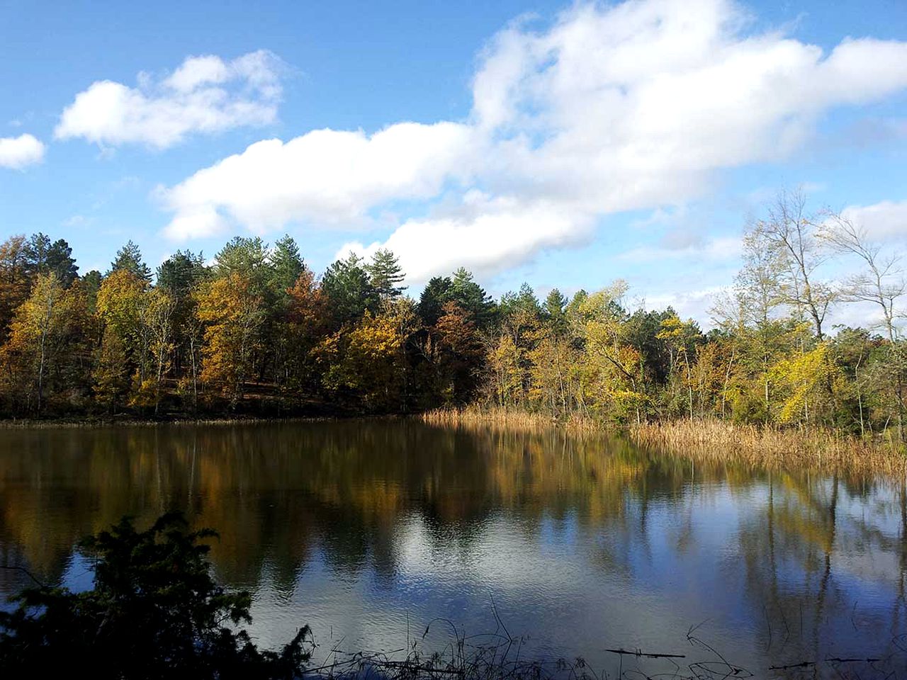 Cozy Four-Person Cabins with Private Outdoor Area near Florence, Italy