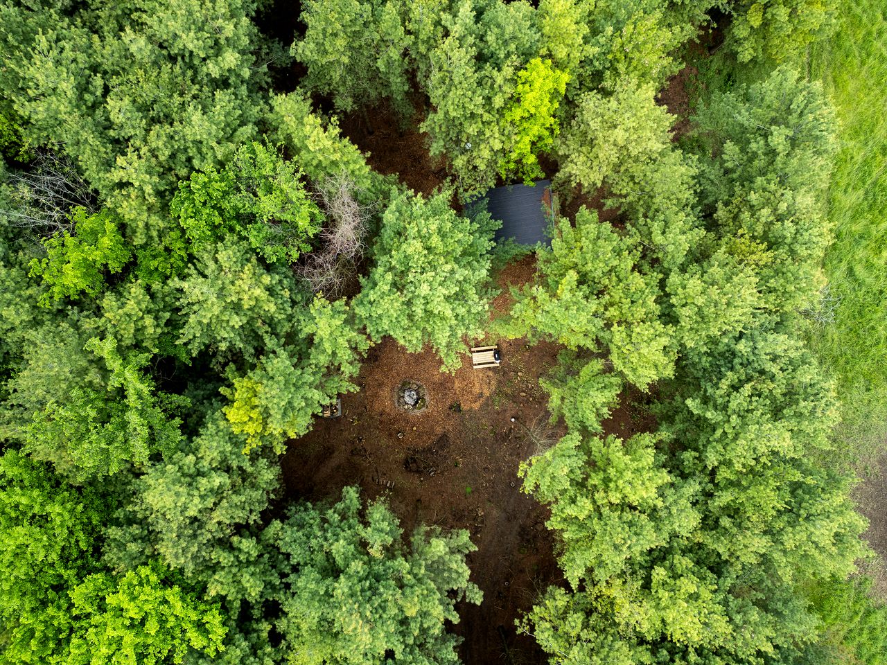 Cozy Getaways in Canada, in this Charming Tiny House with Fire Pit in Ontario