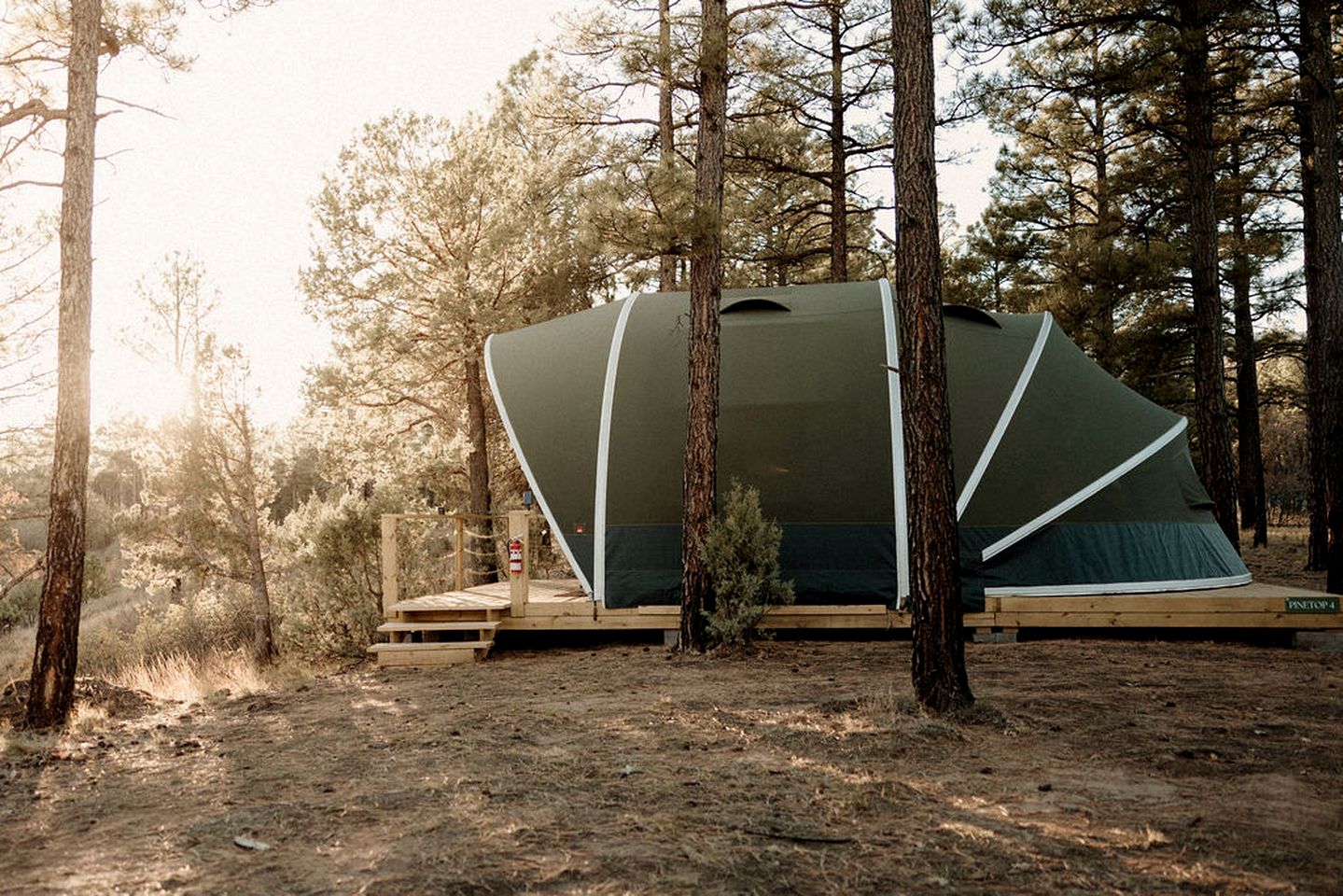 Safari Tents (United States of America, Torreon, New Mexico)