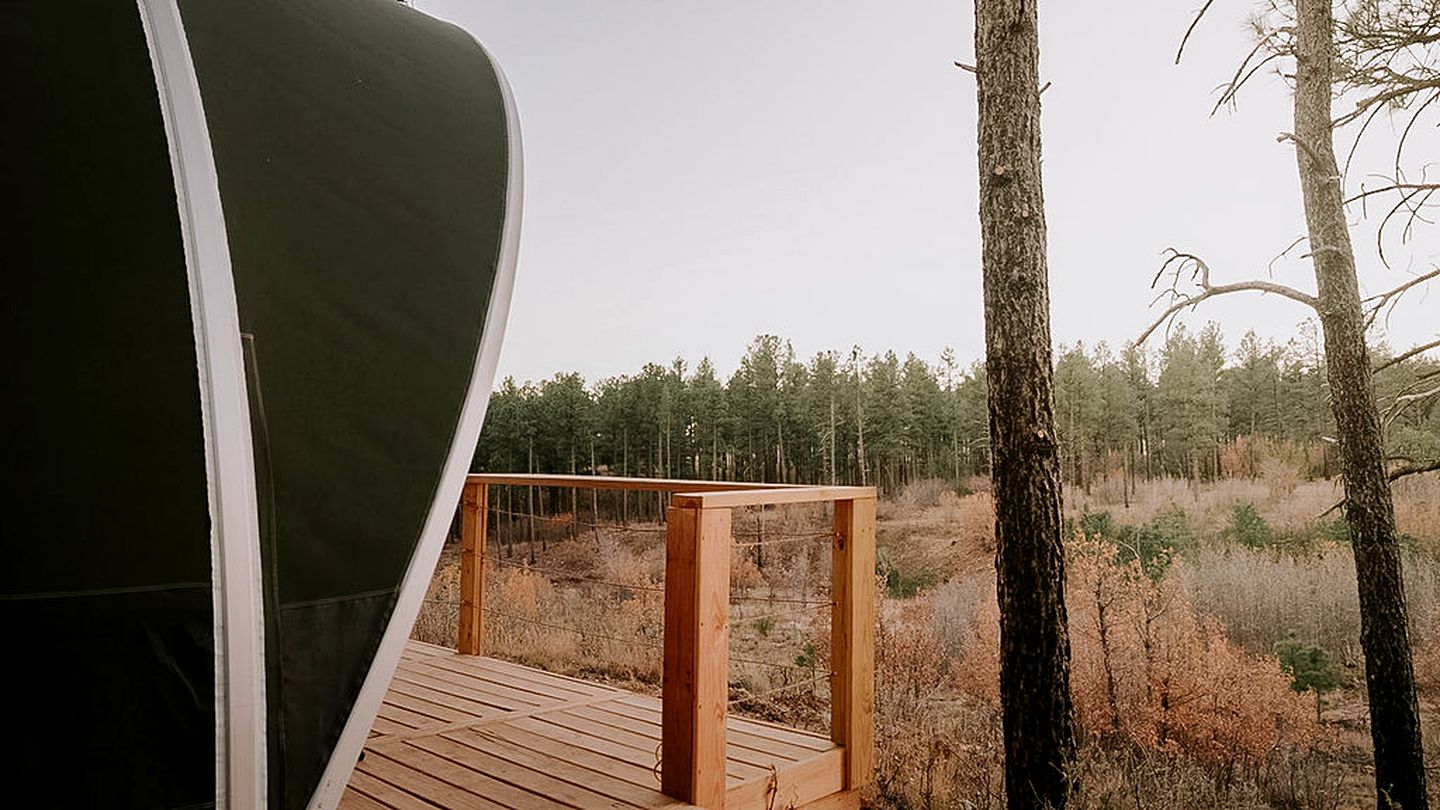 Cozy Glamping Tent with Heritage Orchard & Farm Animals near Mountainair in Torreon, New Mexico