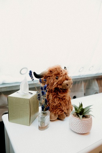 Safari Tents (United States of America, Torreon, New Mexico)