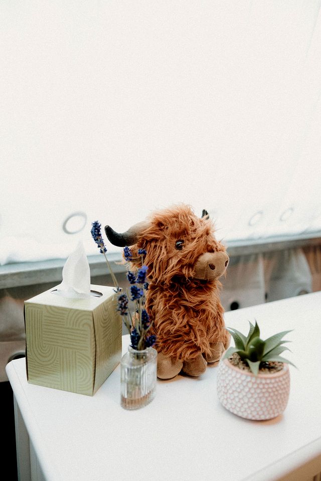 Cozy Glamping Tent with Heritage Orchard & Farm Animals near Mountainair in Torreon, New Mexico