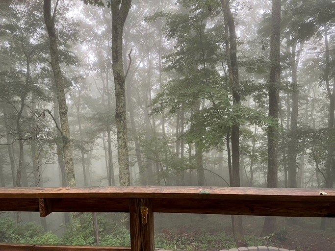 Cabins (United States of America, Maggie Valley, North Carolina)