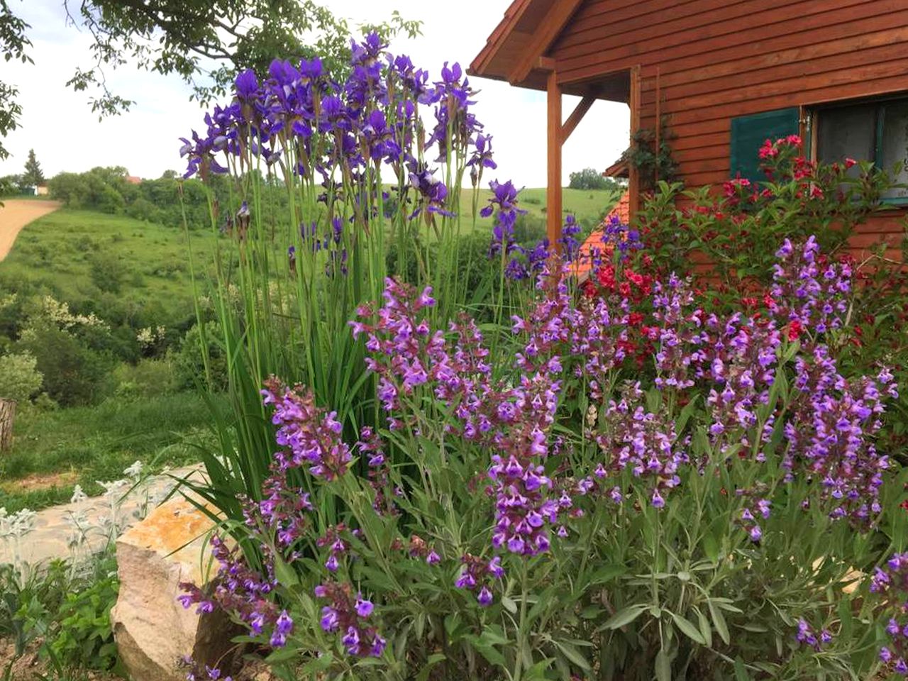 Cozy Holiday Rental on Acres of Countryside in Transylvania, Romania