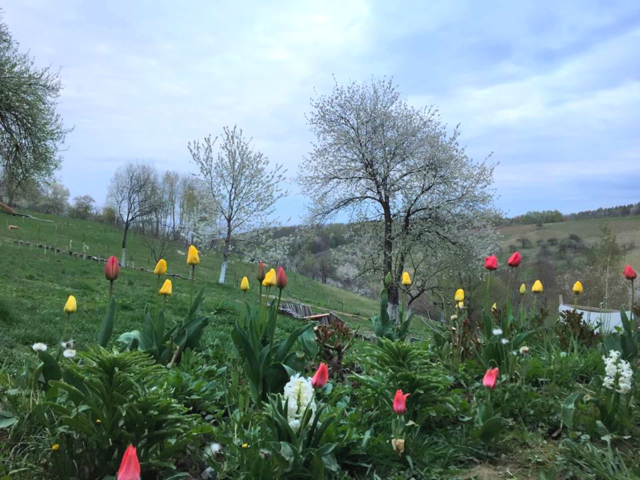 Cozy Holiday Rental on Acres of Countryside in Transylvania, Romania