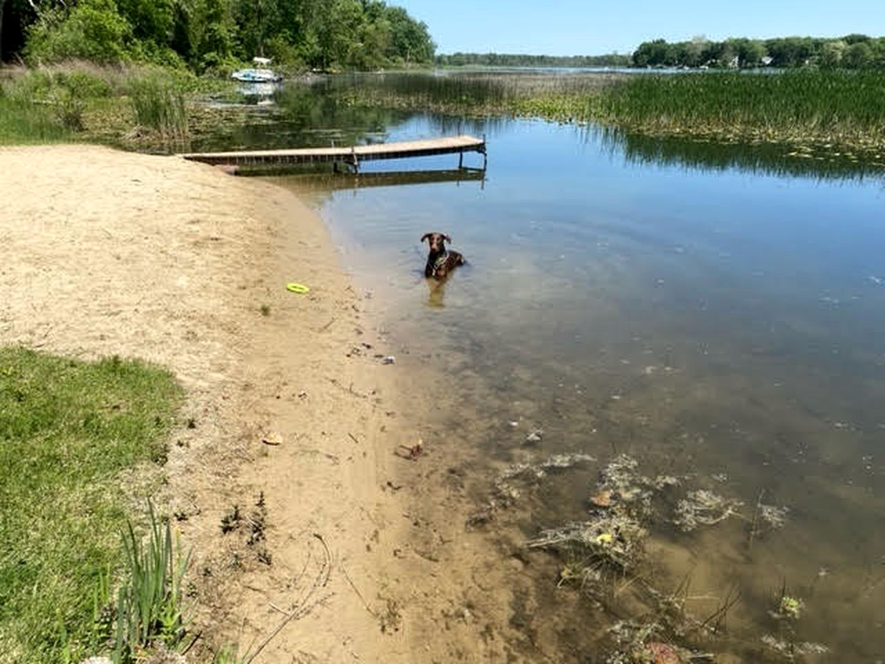 Charming Lakefront Cabin Amazing to Reconnect with Nature in Kalamazoo, Michigan