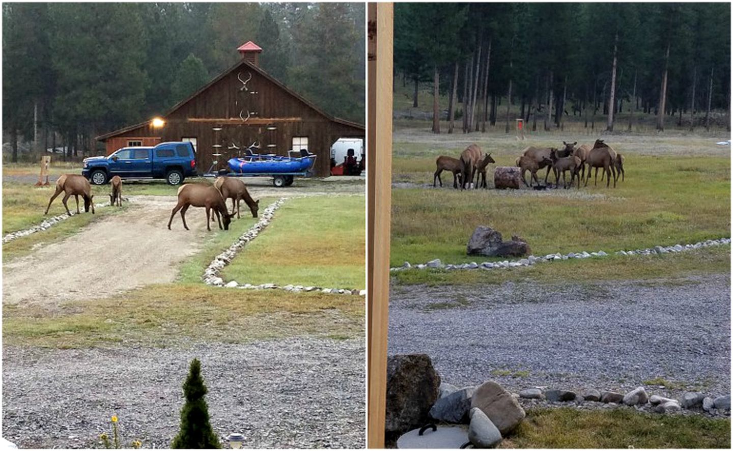 Cozy Lodge Rental near Bitterroot Valley, Montana
