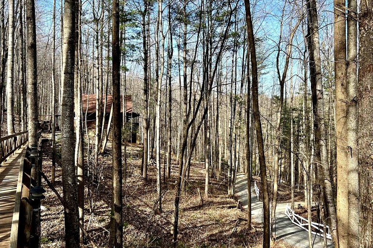 Cozy log cabin 4 minutes outside Stone Mountain!, Cabins, Wilkes County