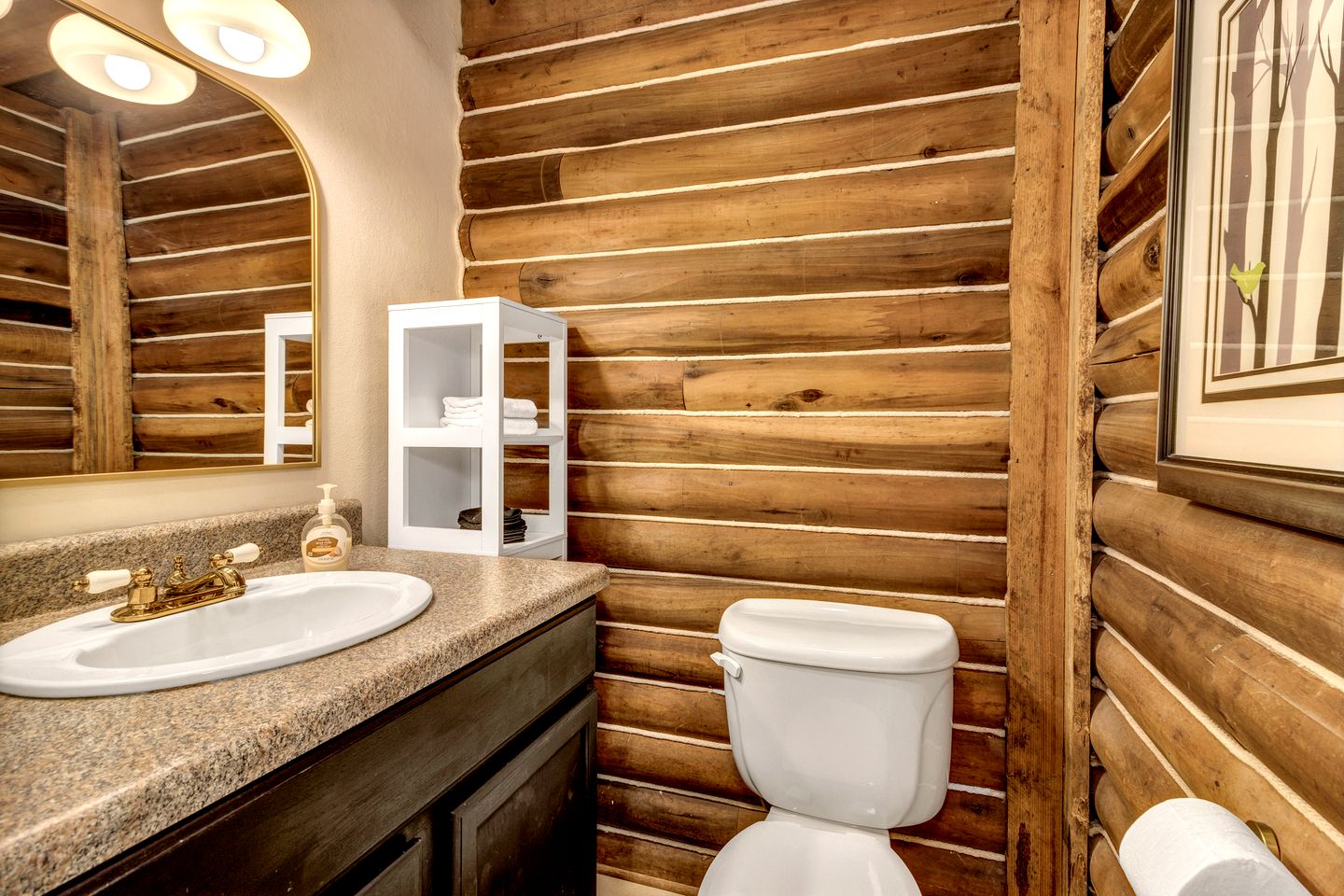 Cozy Mountain Cabin with Fire Pit and Forest Views near Downtown Black Mountain, NC