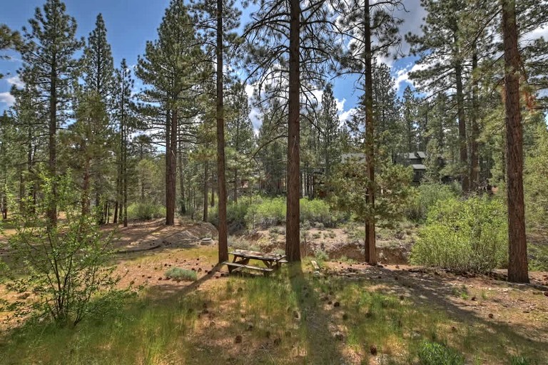 Cabins (United States of America, Big Bear, California)