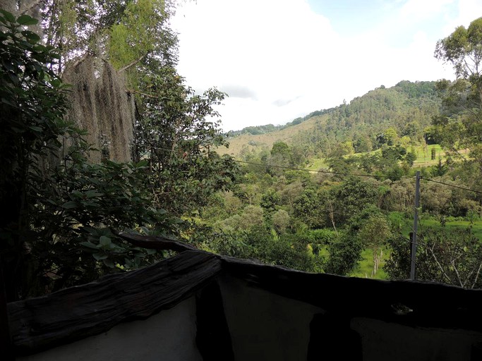 Cabins (Salento, Quindío, Colombia)