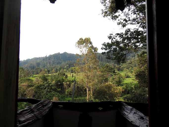 Cabins (Salento, Quindío, Colombia)