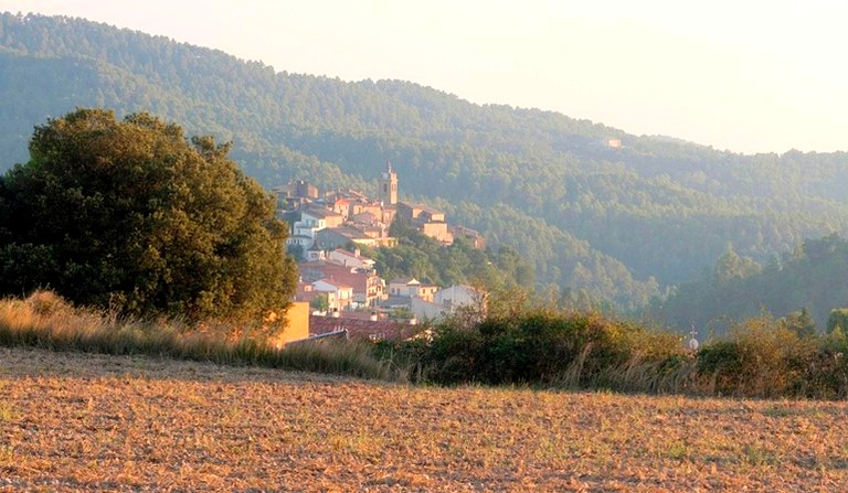 Nature Lodges (Vich, Catalonia, Spain)