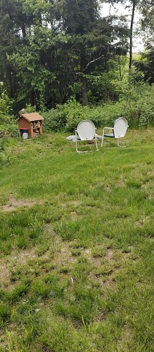 Cabins (United States of America, Hyde Park, Vermont)