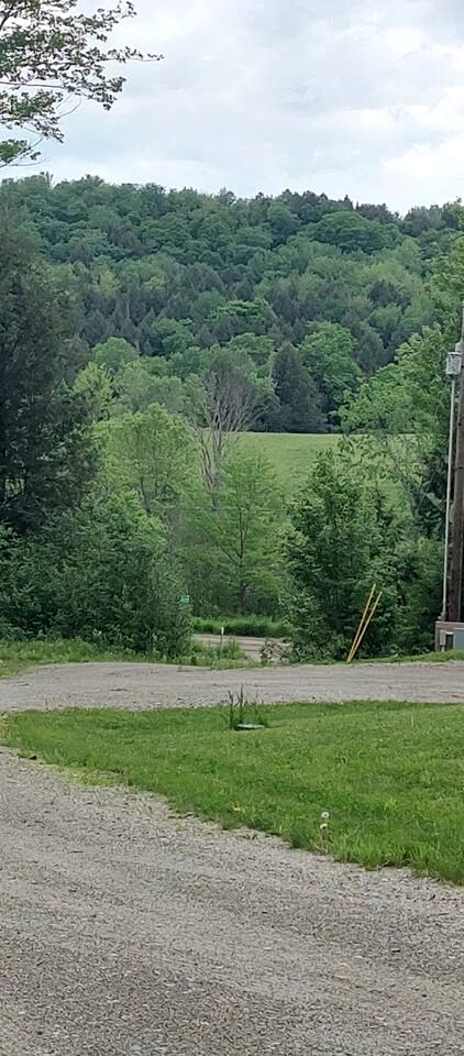 Cozy Pet-Friendly Cabin in Hyde Park, Vermont - Perfect for a Nature Escape near the Green River Reservoir State Park