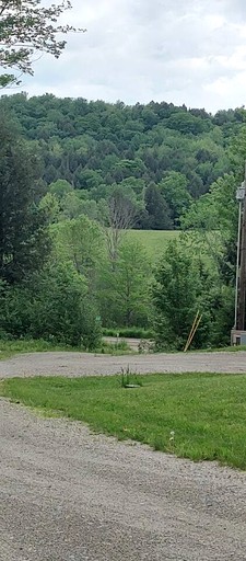 Cabins (United States of America, Hyde Park, Vermont)