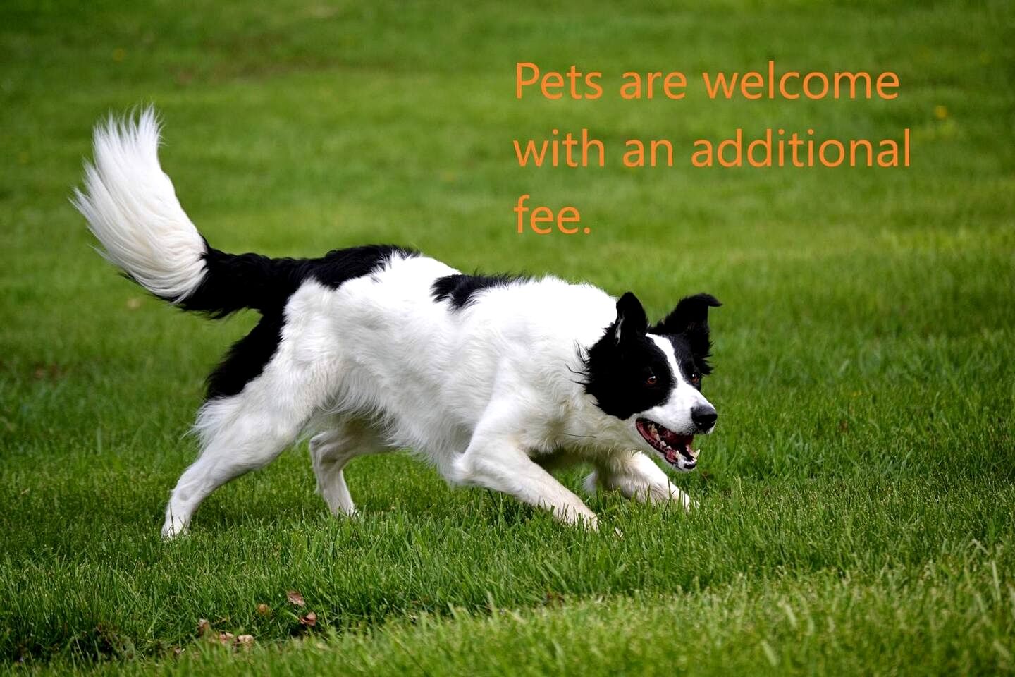 Cozy Pet Friendly Cabin in Monticello, Utah