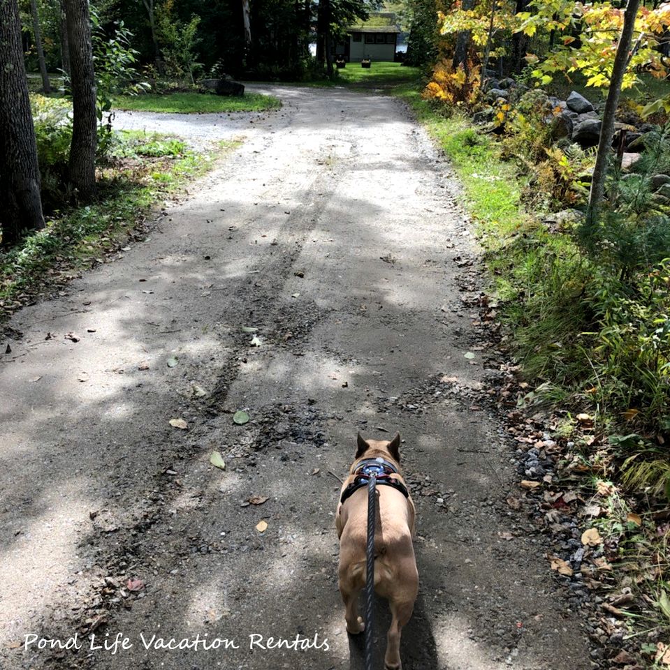 Cozy Pet-Friendly Cabin by the Water at Rockybound Pond for a Memorable Family Adventure in Croydon, New Hampshire