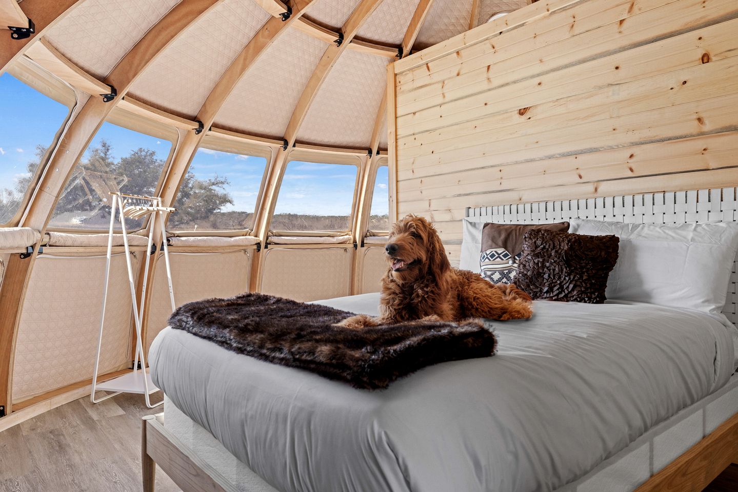 Cozy Pet Friendly Pod with Stunning Sights in Fredericksburg, Texas