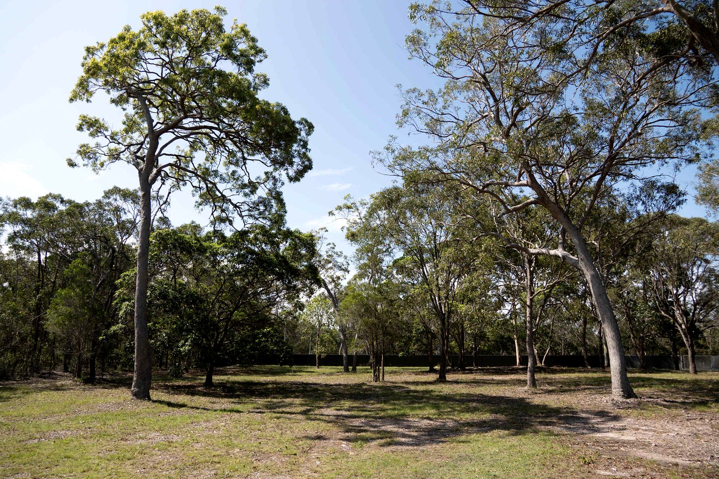 Cozy Pet-Friendly Tiny House with Bushland Wildlife Escape near Fraser Island, Fraser Coast Queensland